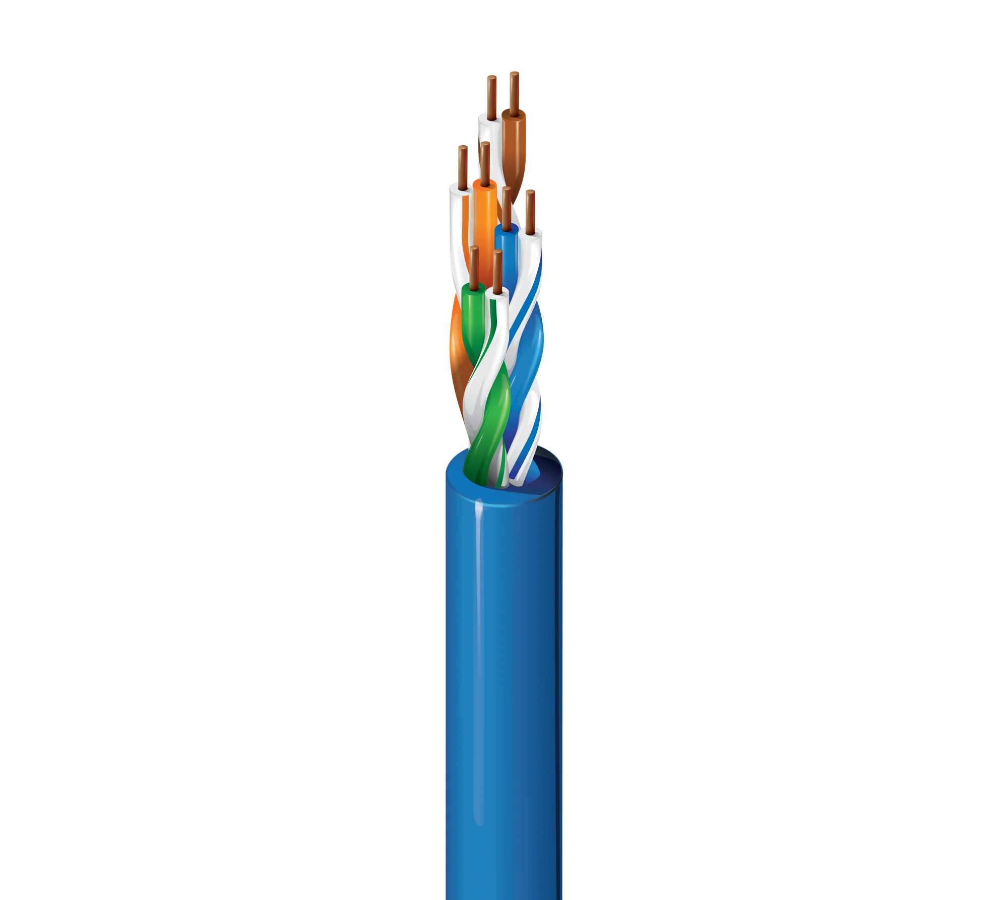 Blue U/UTP Cat5e cable with twisted pairs exposed